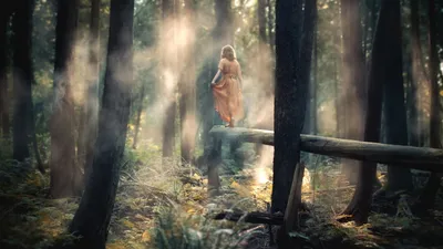 Девушка в еловом лесу - 71 фото