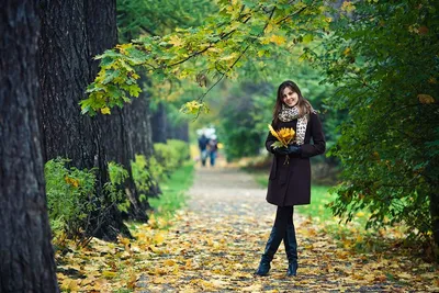 молодая девушка в солнечном осеннем лесу Фото Фон И картинка для бесплатной  загрузки - Pngtree