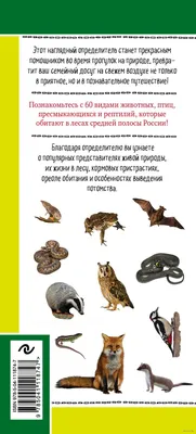 С заботой о природе: ямальцам рассказали, можно ли забирать домой диких  зверей и птиц | Север-Пресс