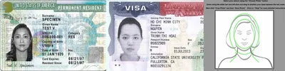 Фото на грин карту в Москве (Green Card DV-Electronic Diversity Visa  Program)