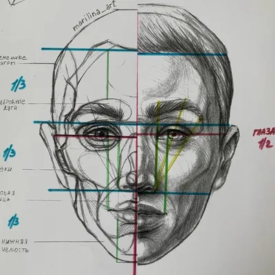 Пять важных правил для рисования портрета, которые будут полезны даже  новичкам. — Кристина Стрельникова на TenChat.ru