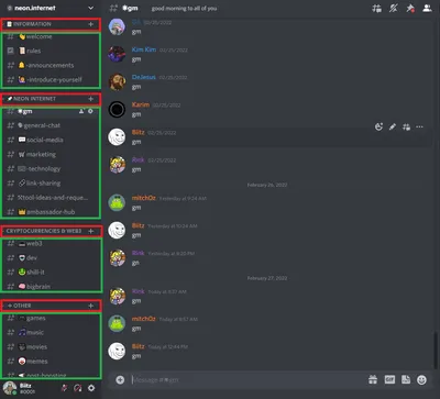 Complete Professional Discord Server Setup | Legiit