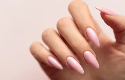Руки с розовыми длинными ногтями держат Sprig хлопка. Черный французский  маникюр серебряными дизайном Glitter. Стоковое Изображение - изображение  насчитывающей покрытие, пирофакел: 201249817