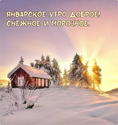 ЗИМНЕЕ УТРО 🎄💖⛄🍒❄🎇❄🍒⛄💖🎄 ДОБРОЕ! | Винтажные чаепития, День памяти,  Открытки