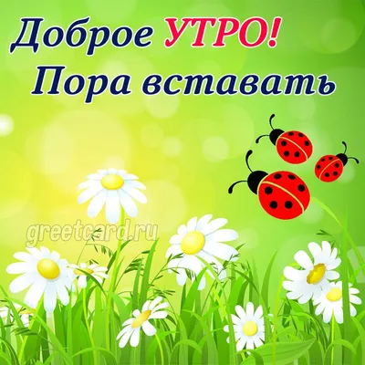 Доброе утро!Хорошего дня! | иван молла | Дзен