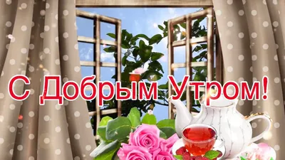 Открытки с добрым утром - красивые поздравления с началом дня — УНИАН