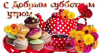 😉ВСЕМ ДОБРОГО СУББОТНЕГО УТРА!!! 😊😊ХОРОШЕГО НАСТРОЕНИЯ НА ВСЕ  ВЫХОДНЫЕ!!! 🤗🤗🤗МЫ ПРОСНУЛИСЬ И ЭТО.. | ВКонтакте