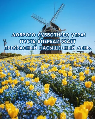 Kristina on X: \"@Olga_Zah Доброго субботнего утра,Olga! Хорошего отдыха и  настроения! https://t.co/wbEeoKTh64\" / X