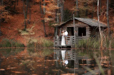 Маленький дом в лесу у озера