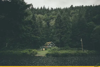 Красивые дома у озера в лесу - 75 фото