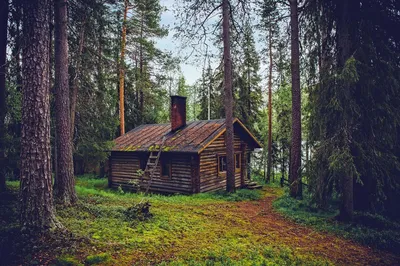 Уютный А-образный дом в лесу у озера в штате Миннесота 〛 ◾ Фото ◾ Идеи ◾  Дизайн