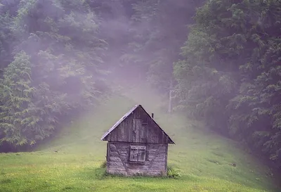 треугольный каркасный дом в лесу сборный дизайн из дерева и камня семейный  отдых на выходных загородный дом уютный домик в лесу Фото Фон И картинка  для бесплатной загрузки - Pngtree
