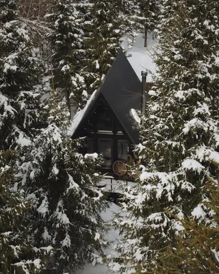 Шикарный дом в лесу - 80 фото