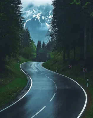 Дорога, лес, горы. Фотограф Андрей Родионов