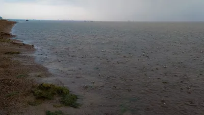 дождь в море. водный цикл. море и дождь. Стоковое Изображение - изображение  насчитывающей бобра, океан: 221813467