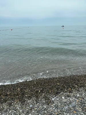 вода капли дождя океан синий, Капля воды, пар, Море фон картинки и Фото для  бесплатной загрузки