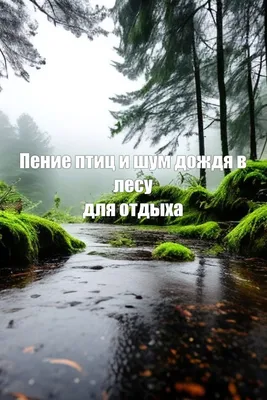 Пейзаж Картина маслом на холсте - \"Весенний лес после дождя\" – заказать на  Ярмарке Мастеров – 9TBQFRU | Картины, Минск