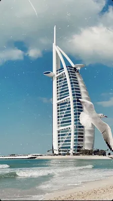 картинки : Дубай, Объединенные Арабские Эмираты, море, пляж, архитектура,  Бурдж аль-Араб, Отель dubai, длительное воздействие, день отдыха 1538x2050  - - 1371747 - красивые картинки - PxHere