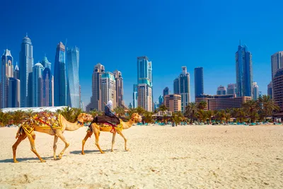 Дубаи, море, ракушки, колесо …» — создано в Шедевруме