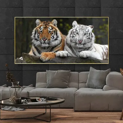 Два тигра лежат между камнями Стоковое Фото - изображение насчитывающей  бобра, кошачий: 157113156