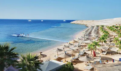 Египет смягчил условия въезда туристов на курорты Красного моря |  Ассоциация Туроператоров