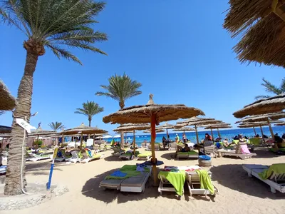Курорты Египта на красном море, туристический сезон в стране, пляжный отдых  на курорте с детьми