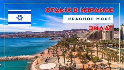 Eilat, Красное Море, Израиль Стоковое Изображение - изображение  насчитывающей коралл, побережье: 31704709