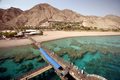 Коралловый риф Красного Моря, пляжа и пустыни около Eilat, Израиля Стоковое  Изображение - изображение насчитывающей климат, среда: 109694115