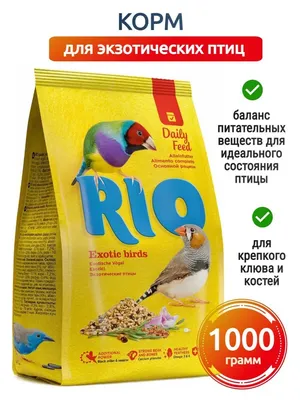 Купить Rio для экзотических птиц (амадины и т.п.), 1 кг. Корм для птиц в  интернет-магазине Zooshop21