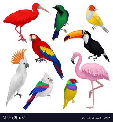 Немного ярких экзотических птиц, для поднятия настроения / нагенерил сам ::  Stable diffusion :: в комментариях ещё :: нейронные сети :: птицы / смешные  картинки и другие приколы: комиксы, гиф анимация, видео, лучший  интеллектуальный юмор.
