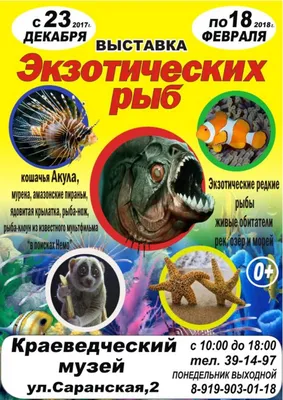 Экзотических рыб можно увидеть в московском аквариуме-океанариуме - РИА  Новости, 29.02.2020