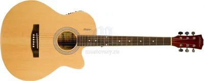 Электро гитара DJT-1,Электрогитара для начинающих,С комплектом - купить с  доставкой по выгодным ценам в интернет-магазине OZON (1243701553)