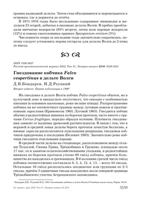 PDF) Vegetation of dug up ponds in the North-East of Yaroslavl region /  Растительность копаней северо-востока Ярославской области