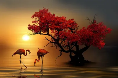 Модульная картина Фламинго, закат – ART-VEK