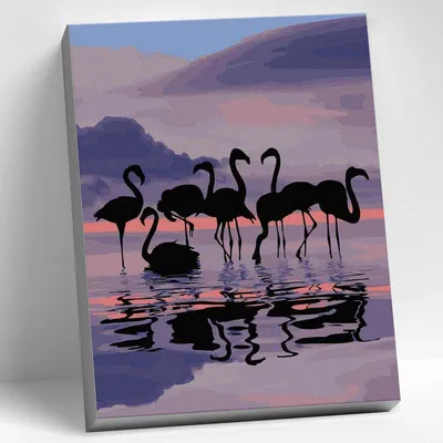 Фото животных: Фламинго на закате. Владимир Федотов. Фото животных - ANIMAL  PHOTO