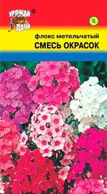 Флоксы. Описание. Классификация. Посадка и уход. Размножение. Селекция |  Интернет-магазин садовых растений