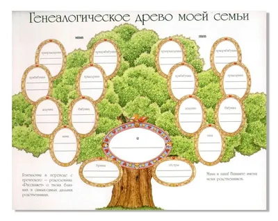 Мультипликаторное генеалогическое древо семьи с векторной иллюстрацией  надписи Иллюстрация вектора - иллюстрации насчитывающей шарж, дети:  179885442