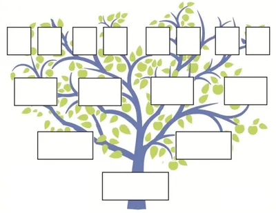 Генеалогическое древо - генеалогическое дерево семьи, цены на составление,  фото