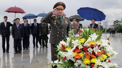 Откуда у северокорейских военных такое количество медалей? | Александр  Снитовский | Дзен