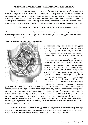 Энтузиаст добавил в «Ведьмака» реалистичные женские гениталии - Газета.Ru |  Новости