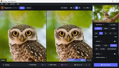 Topaz Gigapixel AI для Windows - Скачайте бесплатно с Uptodown