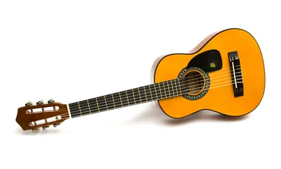 медиатор гитары с цветком на нем, высокое разрешение, гитара, отсутствующий  фон картинки и Фото для бесплатной загрузки