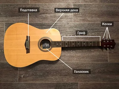Акустическая гитара Ditson 000-10 — Гитары SIGMA