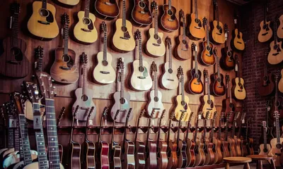 Ремень профессиональный для классической гитары CS-11 купить с доставкой по  России