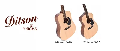 Самые дорогие гитары: 5 инструментов, проданных на аукционах за  баснословные деньги — SAMESOUND