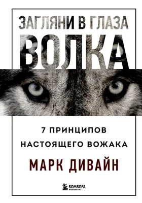 Раскраска на картоне А3 (в конверте). Взгляд волка (Арт. Р-2277) купить  оптом, цена от 205.34 руб. 4665307822777