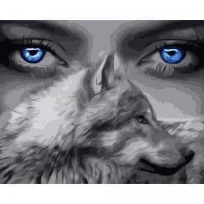 Глаза волка стоковое изображение. изображение насчитывающей сила - 60602491