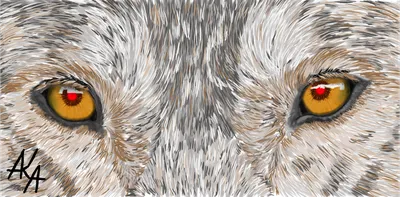 Скачать - Лицо волка — стоковая иллюстрация #38059527 | Wolf eye tattoo,  Wolf tattoos, Wolf eyes