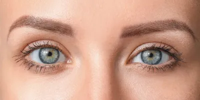 Как определить форму глаз и правильно подобрать макияж - Лайфхакер