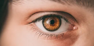 Многообразие цвета в человеческих глазах: от черного до красного - Полезная  информация \"Оптик Центр\"